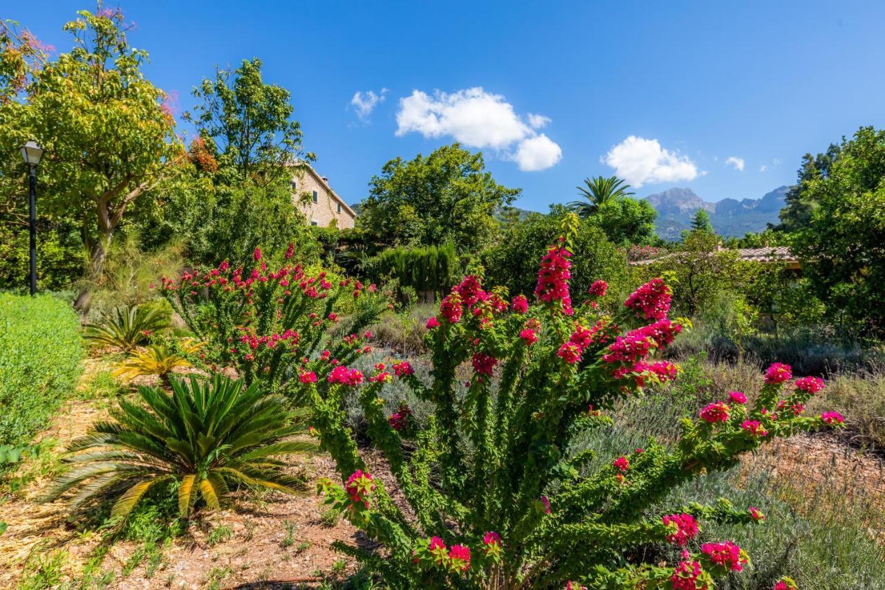 Finca Ca'S Curial - Agroturismo - Adults Only Sóller Zewnętrze zdjęcie