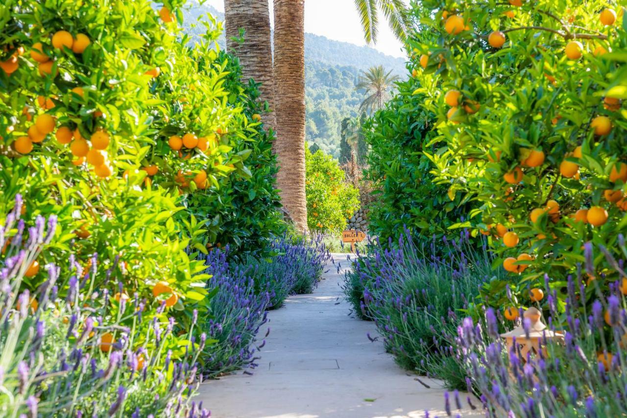 Finca Ca'S Curial - Agroturismo - Adults Only Sóller Zewnętrze zdjęcie