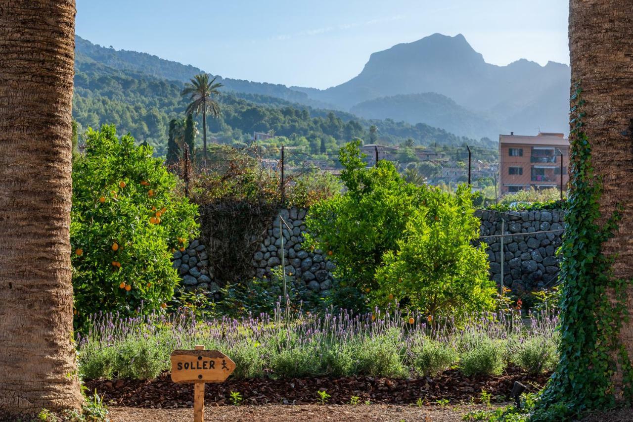 Finca Ca'S Curial - Agroturismo - Adults Only Sóller Zewnętrze zdjęcie