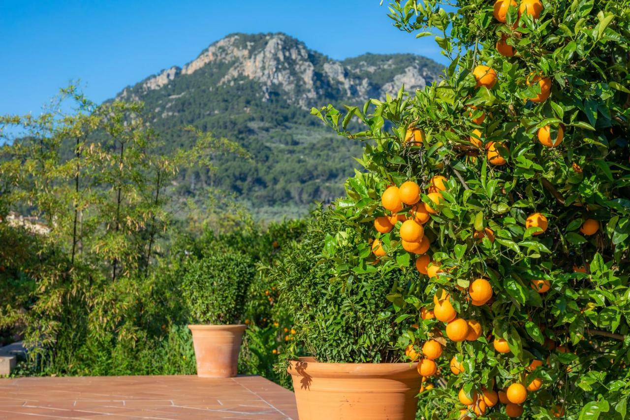 Finca Ca'S Curial - Agroturismo - Adults Only Sóller Zewnętrze zdjęcie