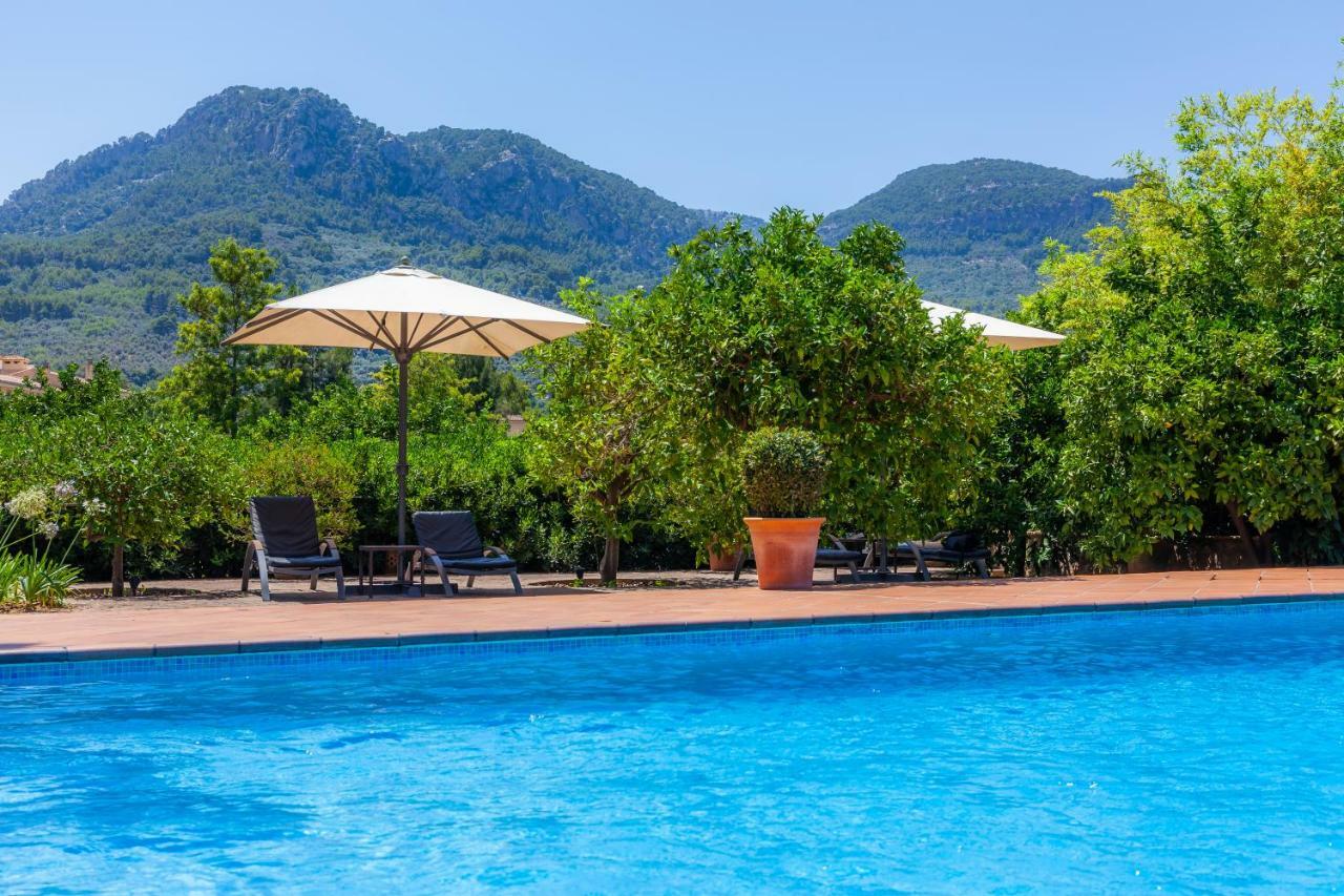 Finca Ca'S Curial - Agroturismo - Adults Only Sóller Zewnętrze zdjęcie