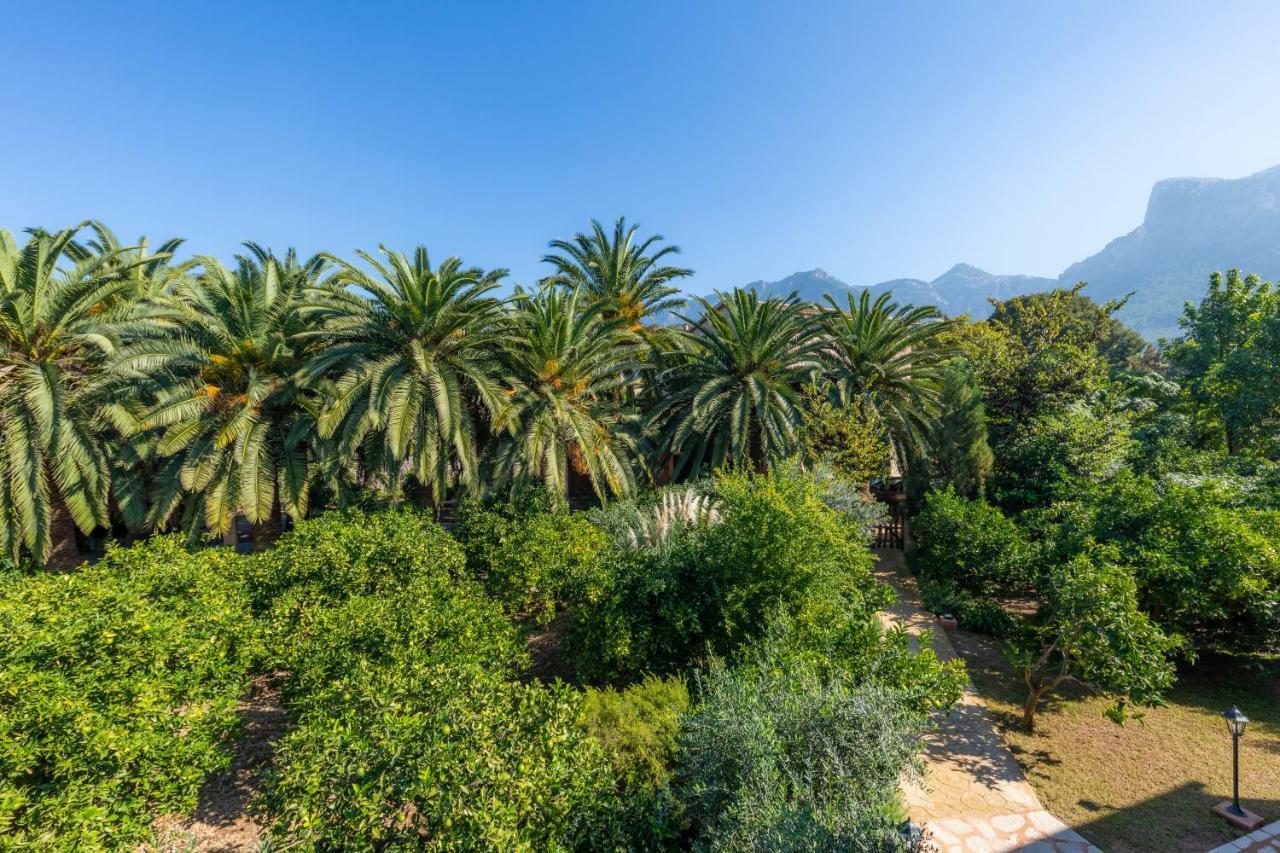 Finca Ca'S Curial - Agroturismo - Adults Only Sóller Zewnętrze zdjęcie